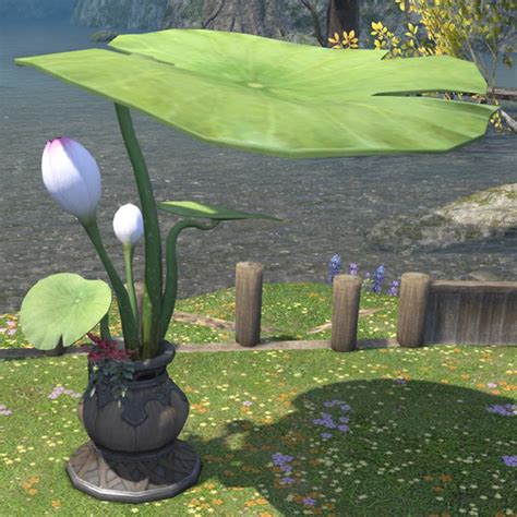 ff14 lotus leaf